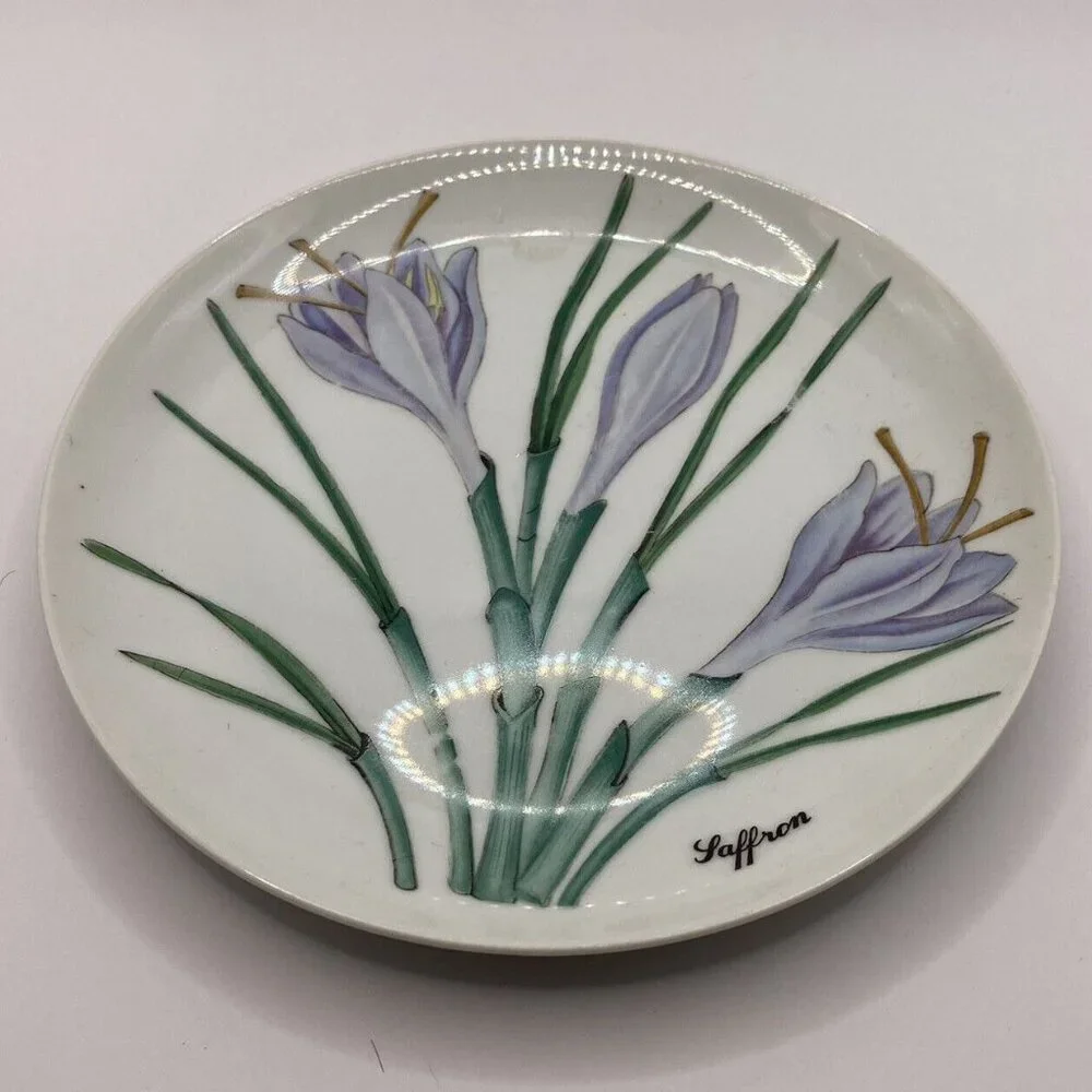 Vtg Shafford botanical 5 porcelain‎ salad plates herbs seeds poppy ginger Japan